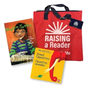 kinder-spanish-foundation-set