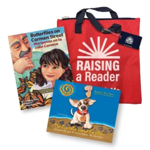 grade-2-spanish-foundation-set